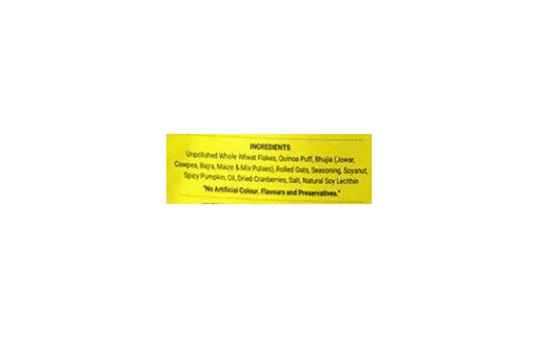 True Elements Roasted Quinoa Mix Spicy Masala   Pack  100 grams